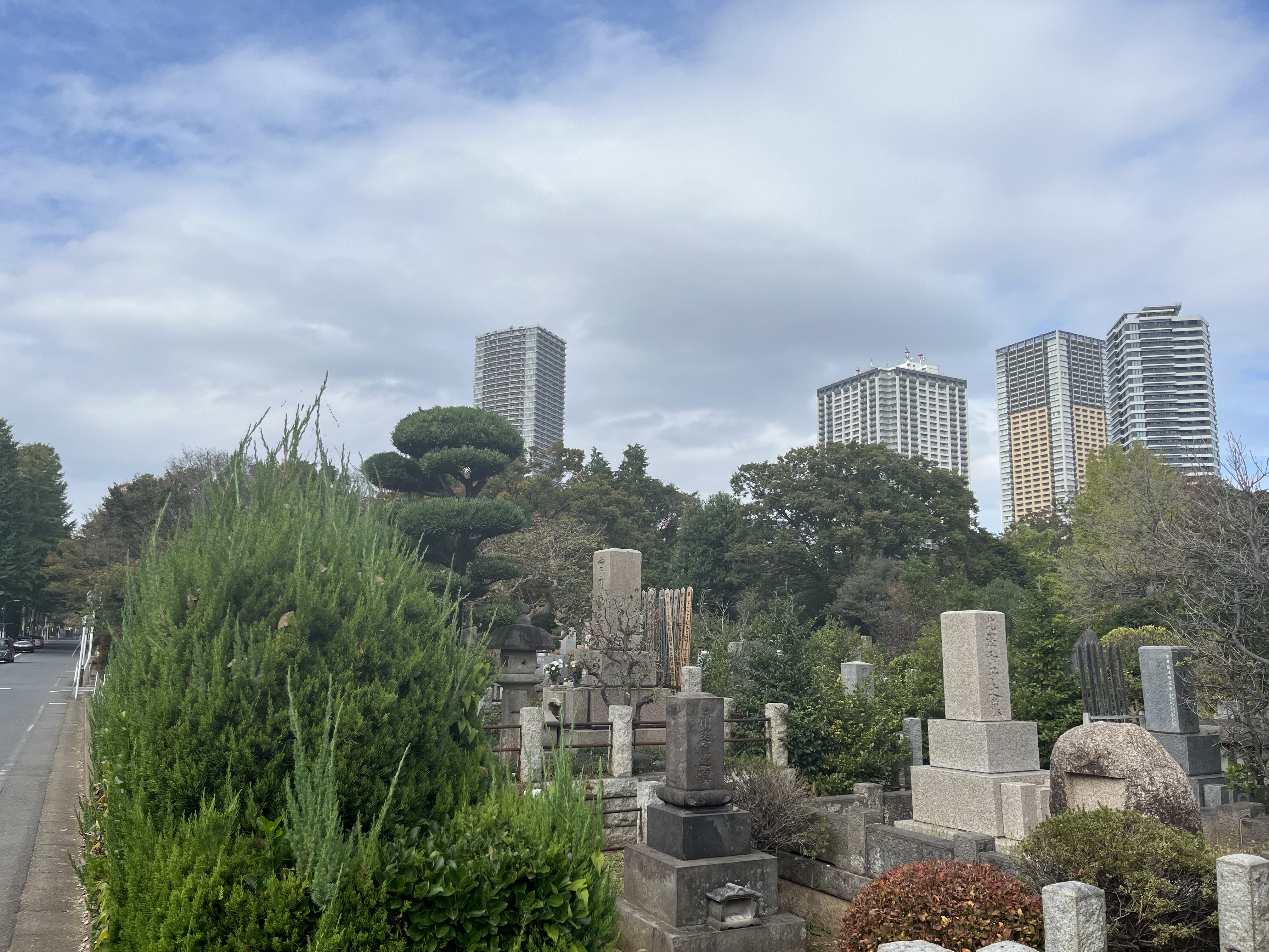 都立雑司ヶ谷霊園風景