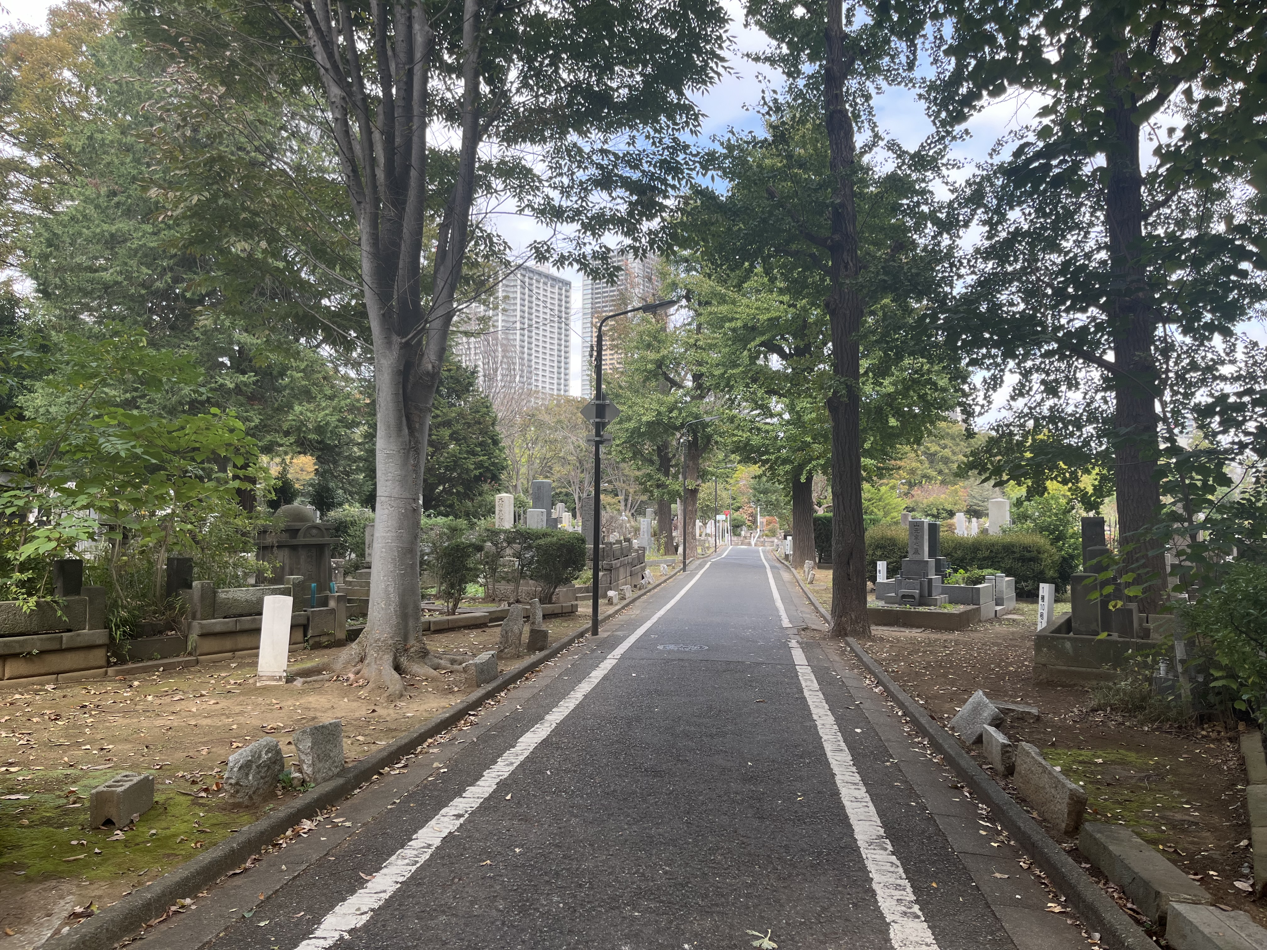 都立雑司ヶ谷霊園風景