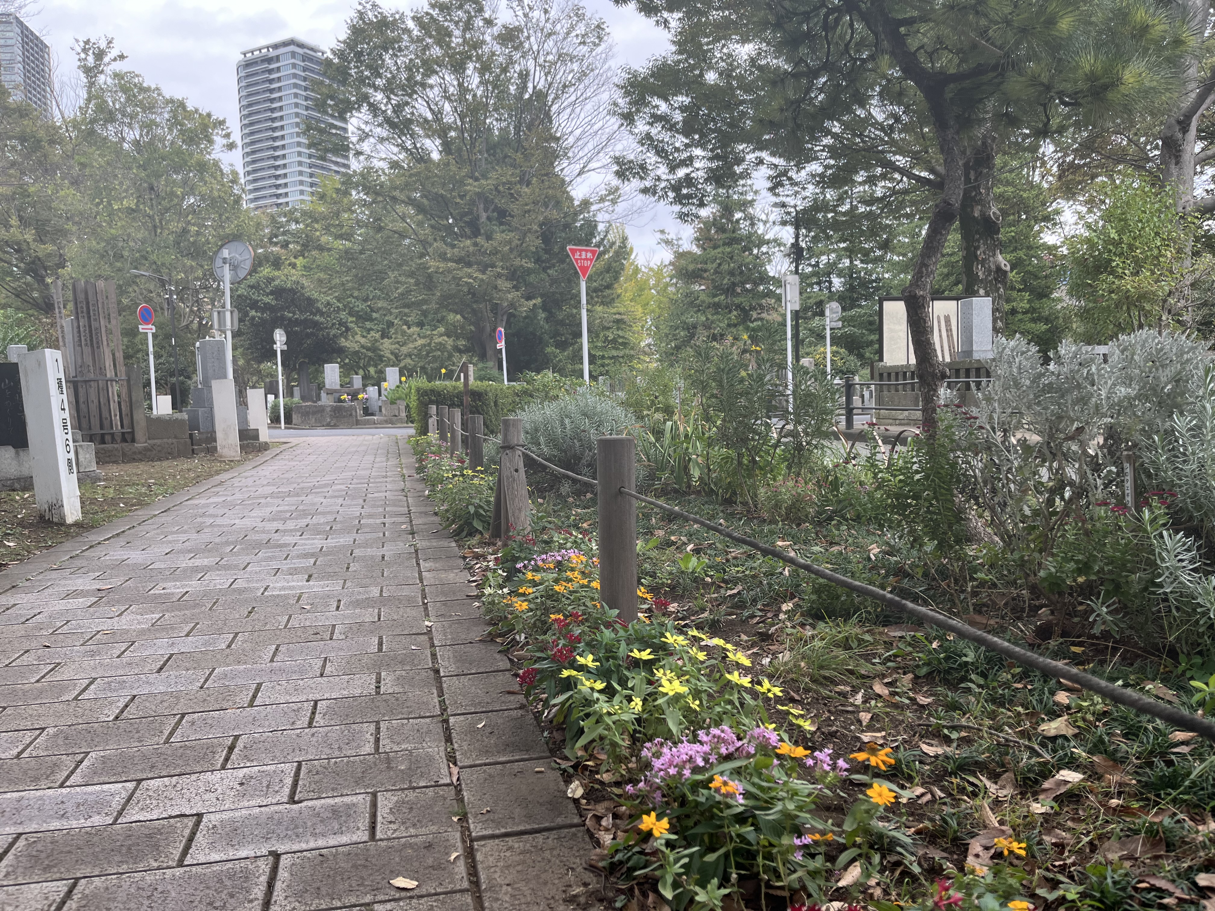 都立雑司ヶ谷霊園風景