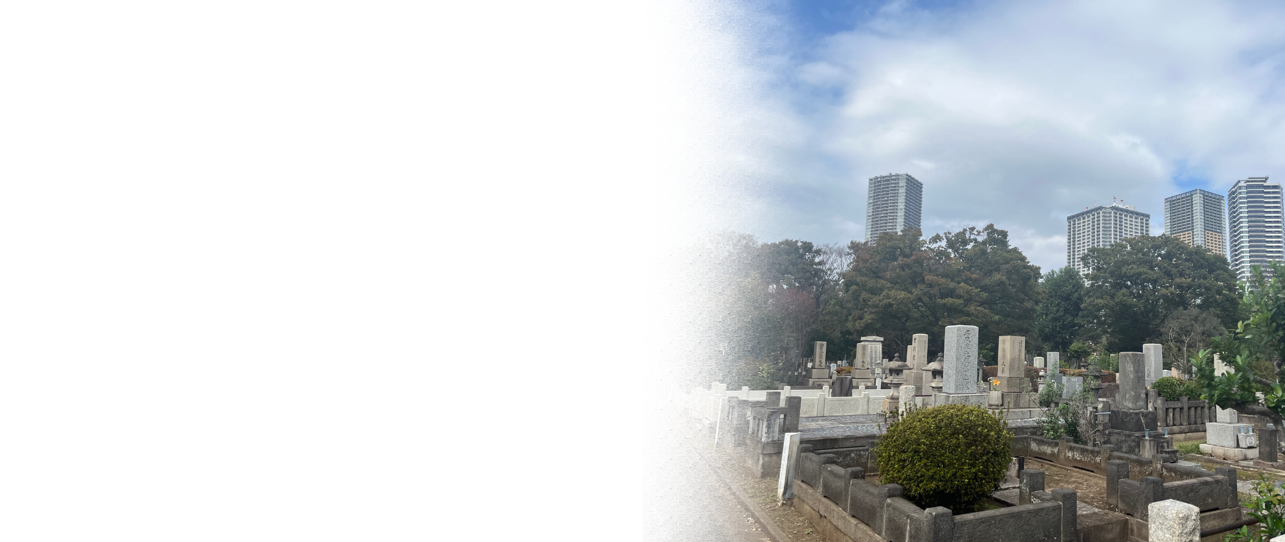 雑司ヶ谷霊園